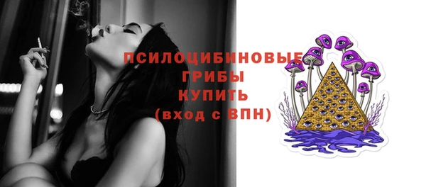 бошки Алзамай