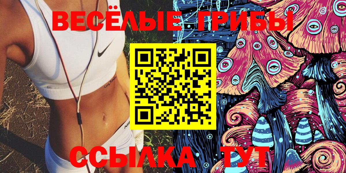 Псилоцибиновые грибы MAGIC MUSHROOMS Конаково